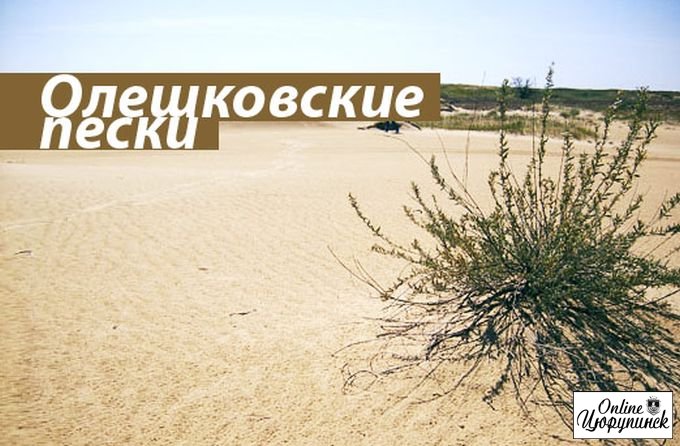 Страсти по цюрупинским пескам (фото)