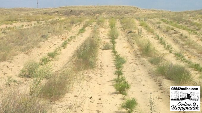 Боротьба з опустелюванням та посухами
