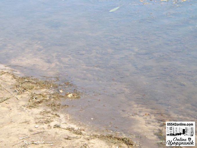 Цюрупинчане вынуждены купаться в зеленом болоте