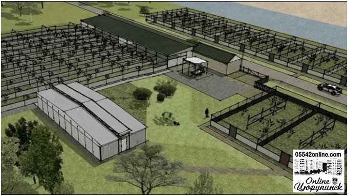 Ідея для бізнеса - будівництва фазанячої ферми на Херсонщині