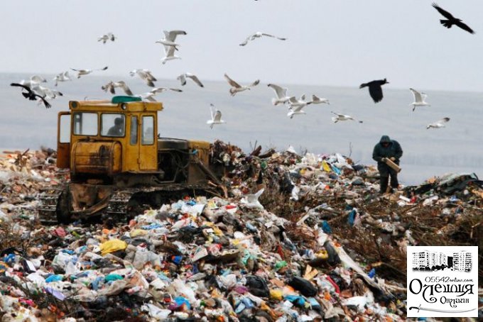 Заметка о политическом мусоре в Цюрупинске