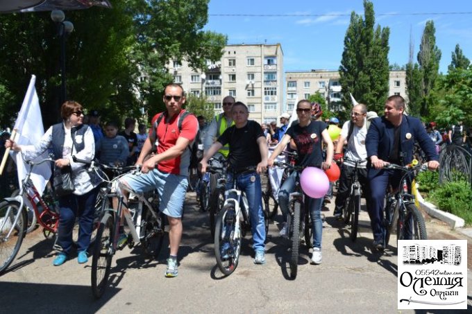 'Велопарад' и 'день семьи' в Цюрупинске (фото)