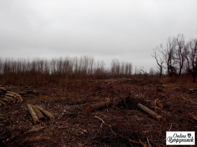 Официальный ответ, относительно вырубки деревьев между Херсоном и Цюрупинском (фото)