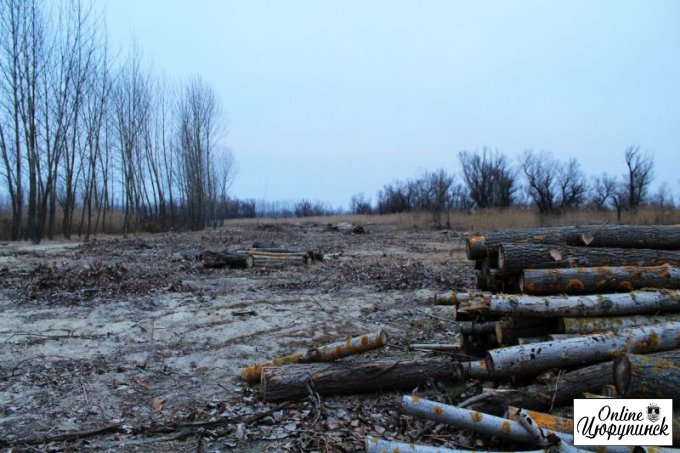Между Херсоном и Цюрупинском полным ходом идет вырубка деревьев (фото)