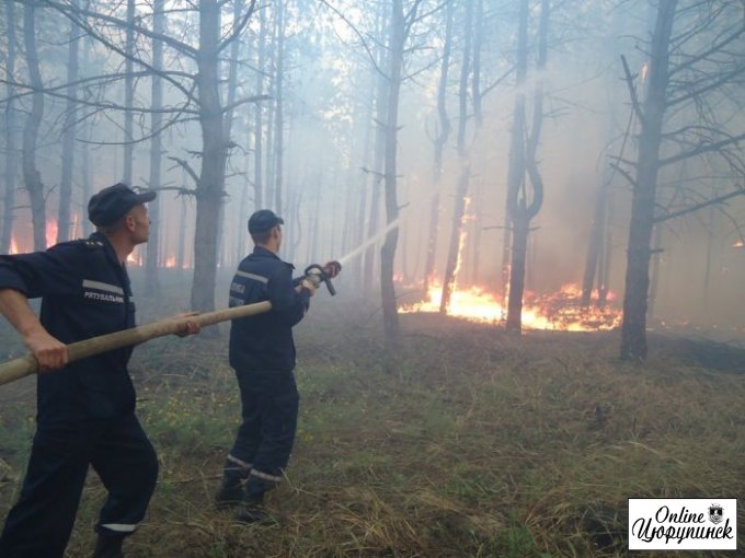 Достовірно з перших вуст про пожежу у Цюрупинському лісництві