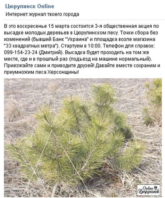 В Цюрупинске состоялось очередное заседание рабочей группы по вопросам уничтожения лесов Херсонщины