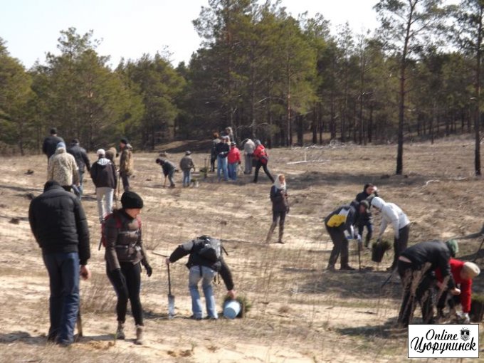 Цюрупинчане и херсонцы высадили еще 14 тыс. молодых деревьев (фото)