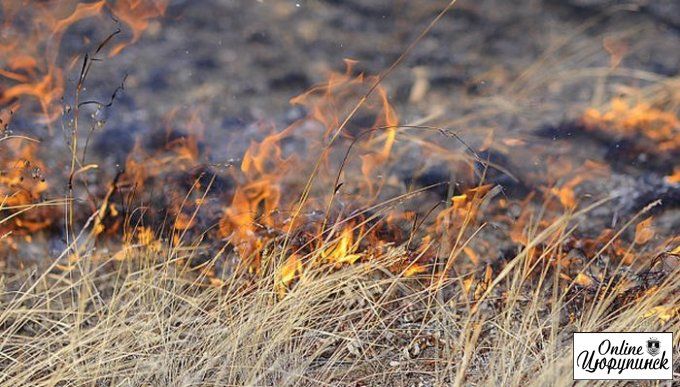 Возле Раденска вовремя предотвратили лесной пожар