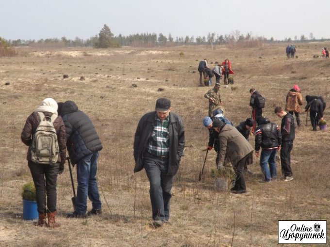 Финал публичной акции по высадке леса на Херсонщине (фото)