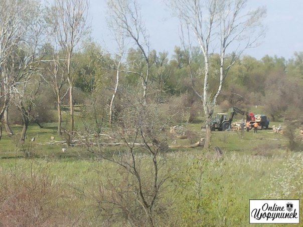 Зачем нам деревья и места для отдыха в Цюрупинске? (фото)