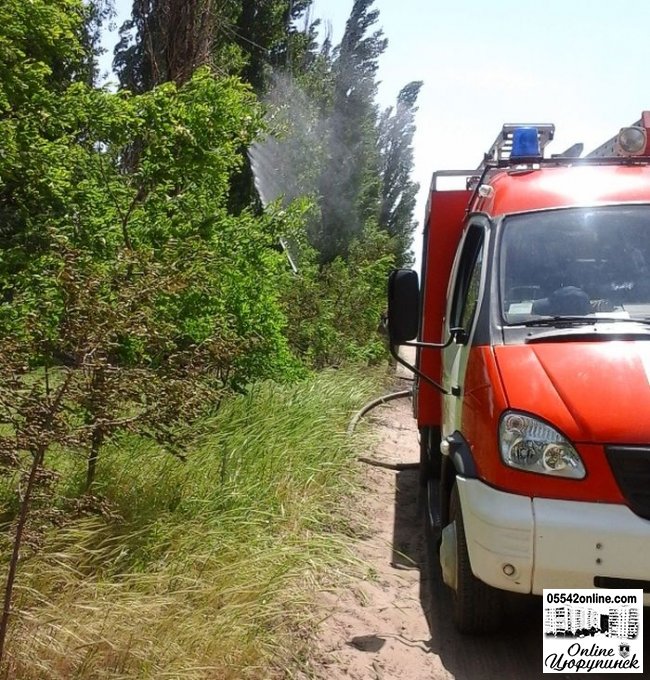 У Цюрупинському районі рятувальники запобігли перекиданню вогню на ліс і людське житло