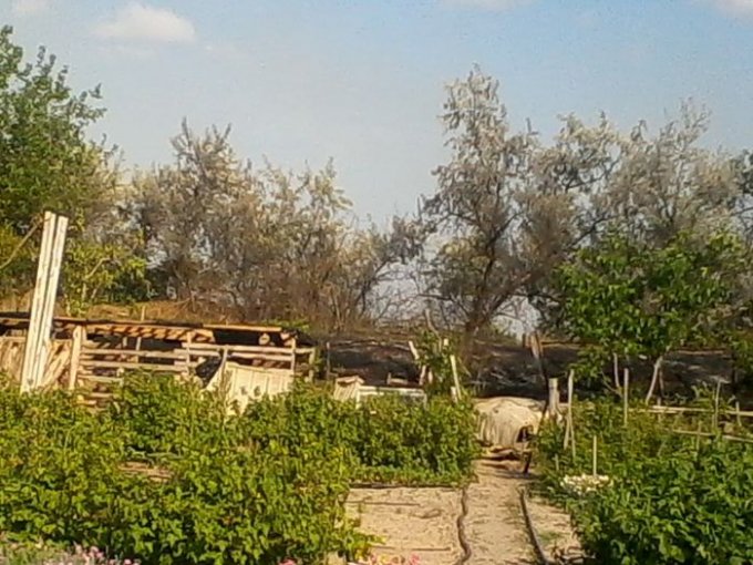 У цюрупинчан погорели заборы от пожара на очистных сооружениях
