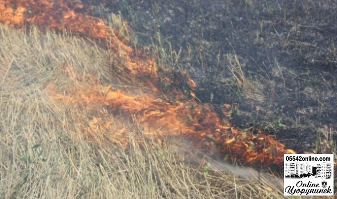 За минулу добу сталось 6 пожеж на відкритих територіях, з яких 2 у екосистемах