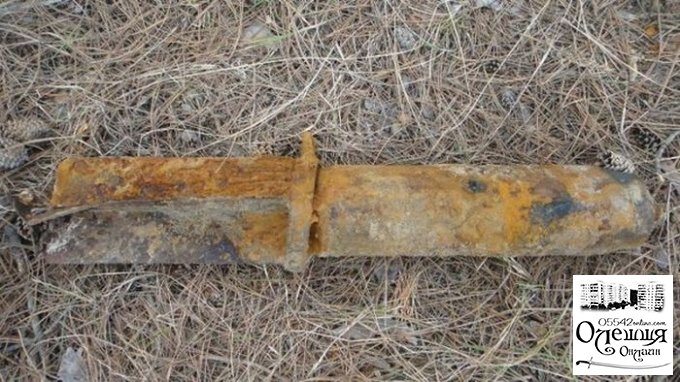У Цюрупинському районі піротехніки знищили авіаційну бомбу вагою 50 кг