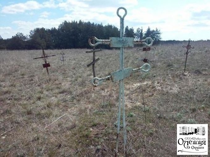 Под Цюрупинском обнаружено таинственное заброшенное кладбище