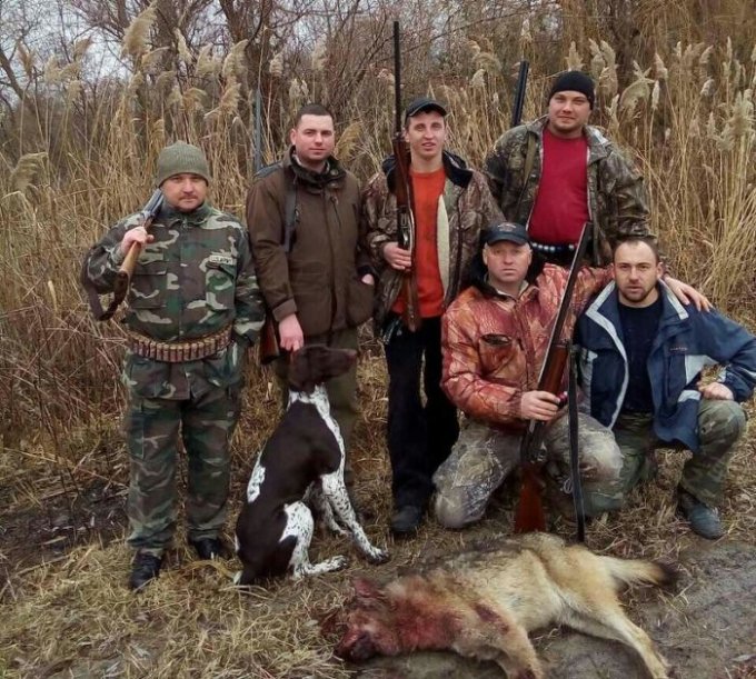 В  Сагах застрелили волчицу, которая терроризировала село