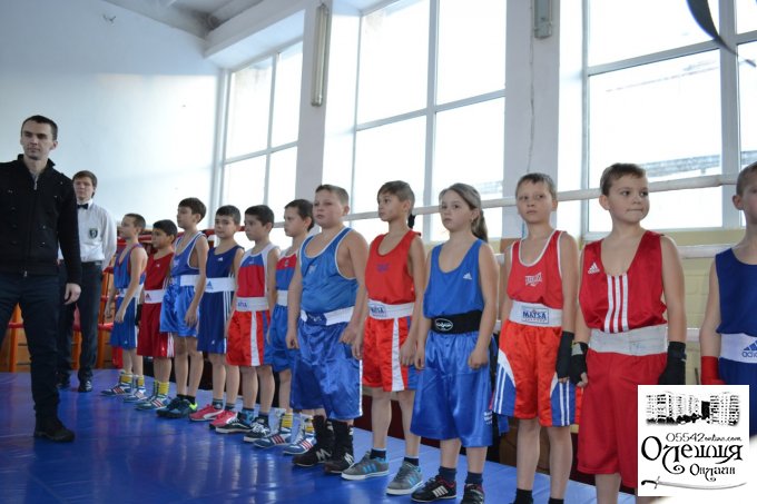 Відкриття чемпіонату з боксу «Олешківські ігри - 2016»