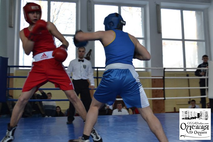 Відкриття чемпіонату з боксу «Олешківські ігри - 2016»