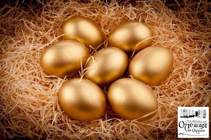 Коротко про "золотые яйца" в Олешках