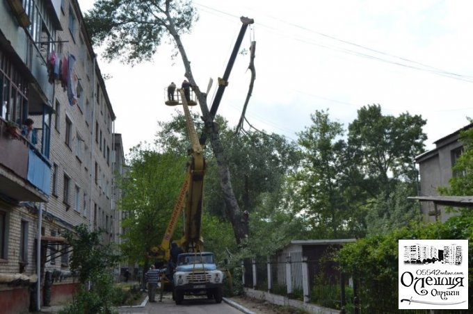 В Олешках проводиться спилювання аварійних дерев