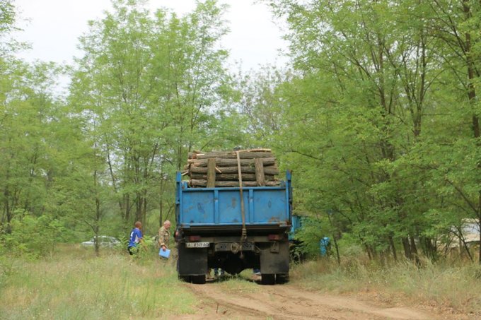 Кравченко-Скалозуб возглавила воровство леса в Олешковском районе?