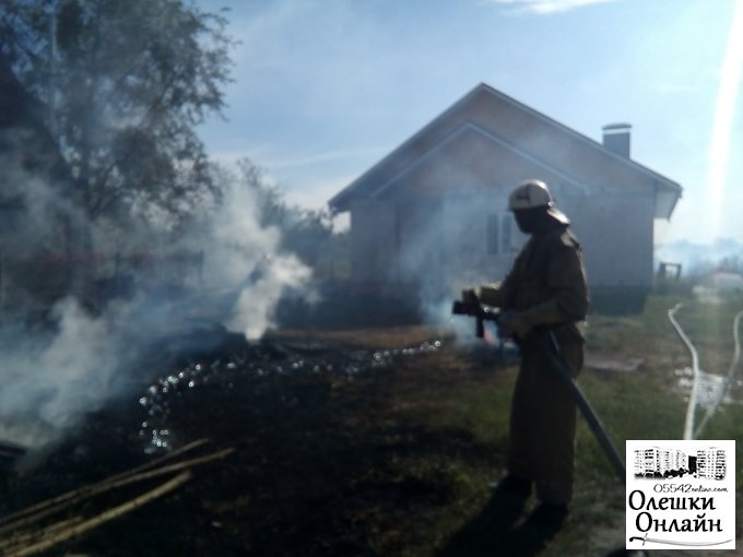 В Солонцах спасли дом от пожара