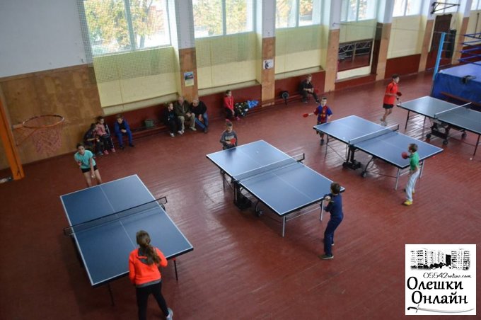  В Олешках проходила відкрита першість міста з настільного тенісу