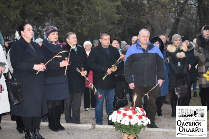 Мітинг до Дня пам'яті жертв Голодомору