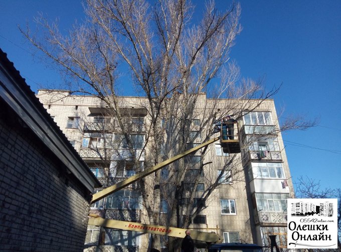 В Олешках проводиться спилювання аварійних дерев