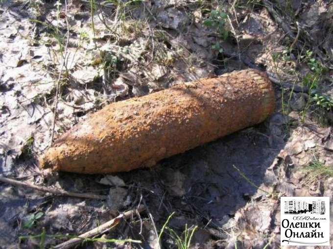 В Олешковском районе нашли артиллерийский снаряд большого калибра