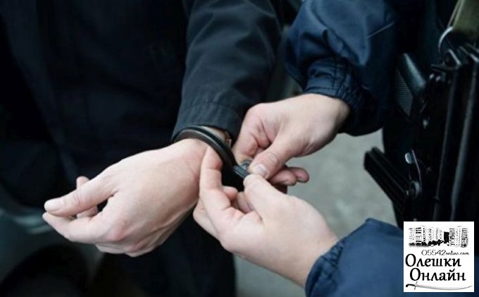  Вредительскую парочку осудили в Олешковском районе