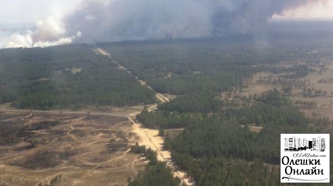 Ущерб от лесного пожара исчисляется миллионами