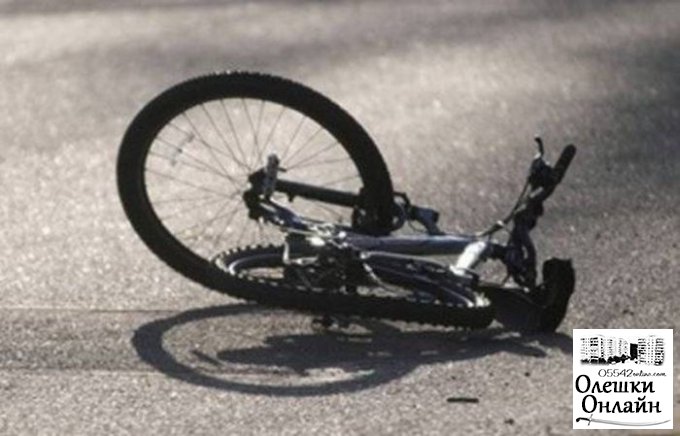 В Олешковском районе под колесами авто погиб велосипедист