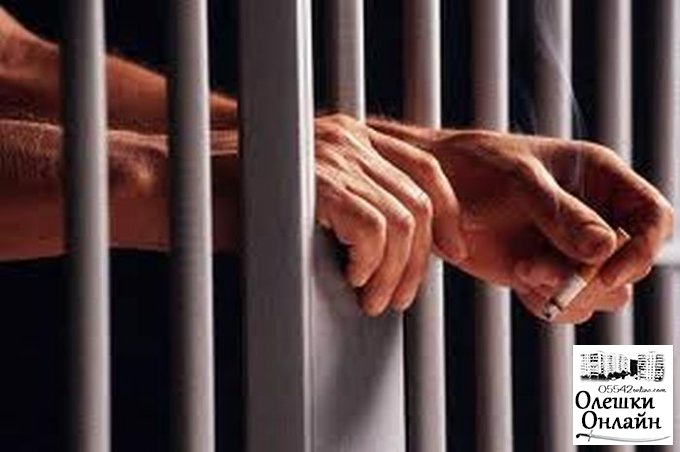 За ограбление прохожего житель Олешек осужден на 4 года лишения свободы