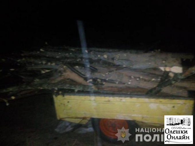 За сутки олешковские полицейские разоблачили два факта незаконной вырубки деревьев на сумму более 35 тысяч гривен