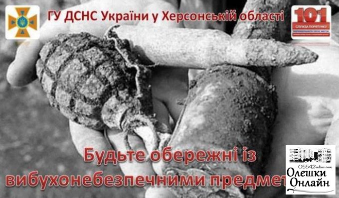В Олешковском районе на обочине трассы обнаружена граната Ф-1 времен Второй мировой войны