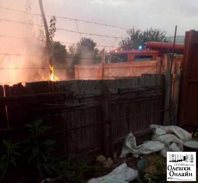 В Олешках в результате пожара сгорели забор и дрова