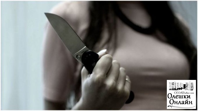 В Олешковском районе судят женщину, которая ножом ранила женщину и убила мужчину