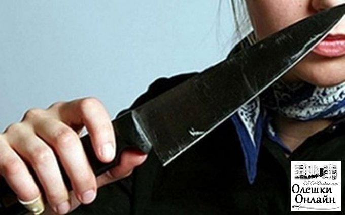 В Олешковском районе за оскорбление женщина вонзила в грудь знакомому нож