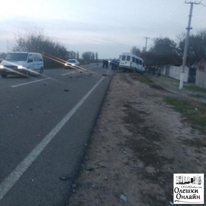 В Олешковском районе произошло серьёзное столкновение микроавтобуса и легковушки