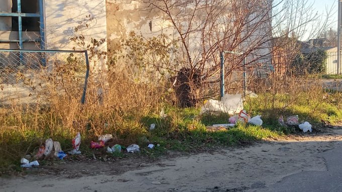 Результаты борьбы Рищука с мусором в Олешках