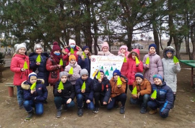 Всеукраїнська природоохоронна акція ''Збережи життя ялинці''