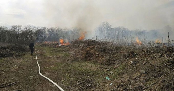Не пожар - горели ветки после санитарной обрезки леса