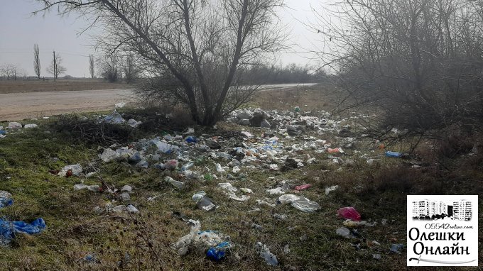 Зона экологического бедствия - территория между Олешками и Солонцами (видео)