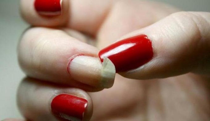 В Олешках тяжкие увечия у чиновников - Гасаненко сомали два ногтя