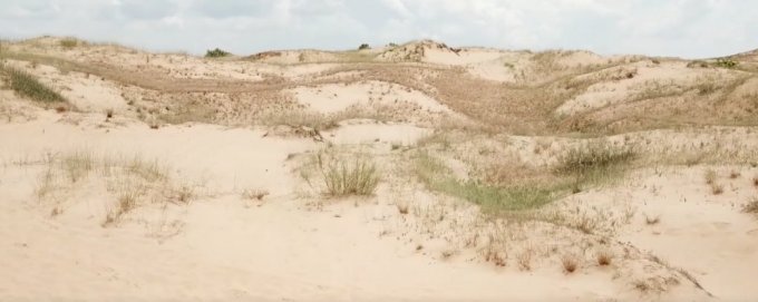 Олешківські піски: природне диво Херсонщини
