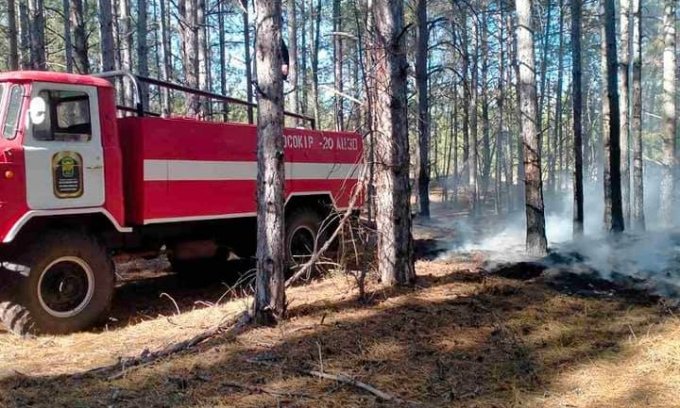В Олешківському лісі спалахнули майже одночасно три пожежі
